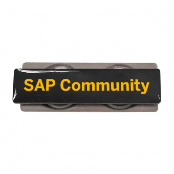 SAP Community Pin