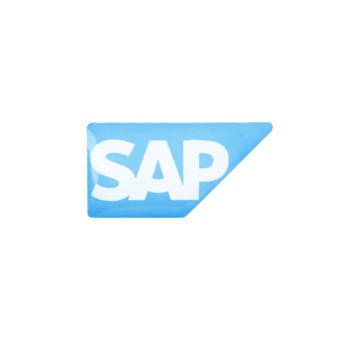 SAP Pin, 10 Stück